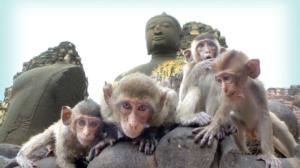 Luontohetki: Eläintarinoita: 10.01.2016 18.15