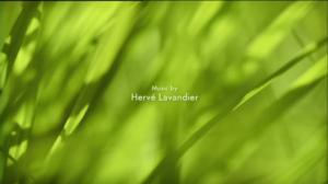 Ruohonjuuritasolla (S): 30.03.2016 18.57