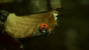 Ruohonjuuritasolla (S): 07.04.2016 18.54