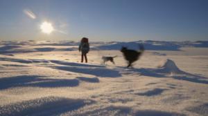 Luontoretkellä: Avarilla selkosilla: 15.01.2016 11.27