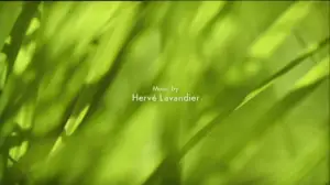 Ruohonjuuritasolla (S): 01.03.2016 18.57