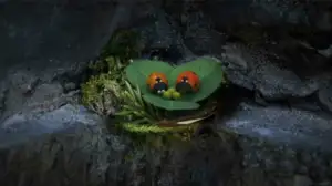 Ruohonjuuritasolla (S): 02.02.2016 18.55