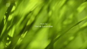 Ruohonjuuritasolla (S): 03.05.2016 18.52