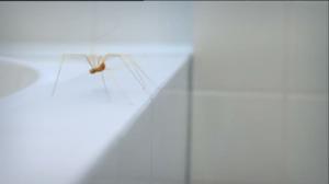 Ruohonjuuritasolla (S): 10.05.2016 18.52