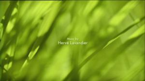 Ruohonjuuritasolla (S): 20.04.2016 18.57