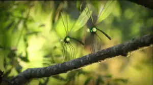 Ruohonjuuritasolla (S): 10.02.2016 18.55