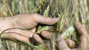 Prisma: Loppuuko fosfori?: 04.11.2015 19.00