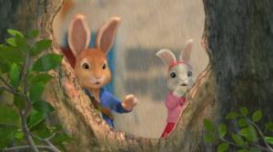 Petteri Kaniini (S): 16.01.2016 08.47