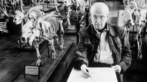 Cartier-Bresson, valokuvan uudistaja: 11.11.2015 21.00