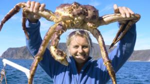 Prisma: Eläinmaailman valtaajalajit: 24.12.2015 07.05