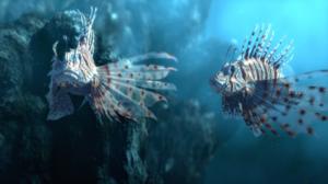 Prisma: Eläinmaailman valtaajalajit: 26.12.2015 07.05