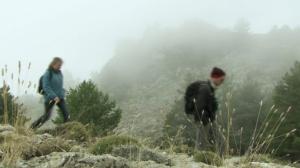 Prisma: Eläinmaailman valtaajalajit: 25.12.2015 07.05