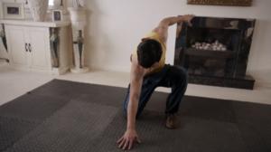 Cuckoo (7): 30.12.2015 00.33