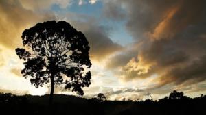 Ulkolinja: Luonnon hintalappu: 08.01.2016 23.40