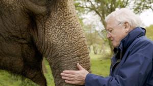 Luontohetki: Attenborough'n erikoiset: 13.03.2016 23.30