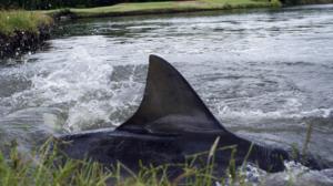 Prisma: Oudoimmat luonnonilmiöt: 03.01.2016 10.00