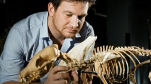 Tiededokumentti: Luiden salat: 07.01.2016 21.00