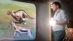 Tiededokumentti: Luiden salat: 14.01.2016 21.00