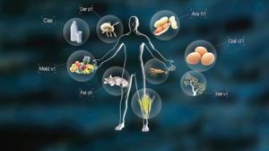 Tiededokumentti: Allergiat: 07.01.2016 17.00