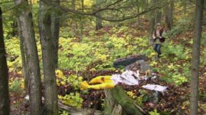 Naurupalat (7): 30.04.2016 21.35