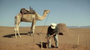 Naurupalat (S): 30.11.2015 18.52