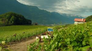 Naurupalat (S): 07.11.2015 12.03