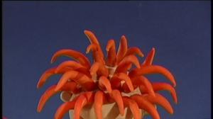 Nimipäiväonnittelu: 11.11.: 11.11.2015 06.51