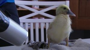 Norjaa ristiin rastiin: 06.01.2016 20.40