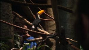 Elämäni eläimet: Eläinsairaalassa: 30.10.2015 16.30