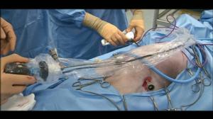 Elämäni eläimet: Eläinsairaalassa: 10.11.2015 11.30