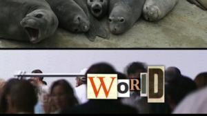 Hullunkurinen maailma (S): 21.11.2015 20.55