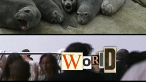 Hullunkurinen maailma (S): 31.01.2016 17.56