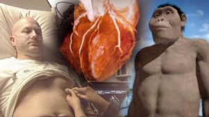 Tiededokumentti: Sairauksien alkuperä: 18.02.2016 21.00