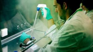 Prisma: Syömmekö pian keinolihaa?: 28.10.2015 19.00