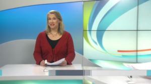 Yle News: 12.12.2015 15.05