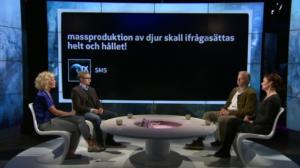 Obs debatt: 29.10.2015 19.55