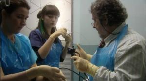 Holby Cityn sairaala (7): 12.01.2016 18.00
