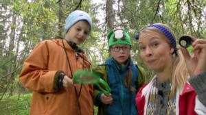 BUU: Mietipä sitä: 01.11.2015 08.30