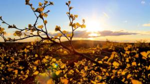 Erämaan lumo: 28.02.2016 18.20