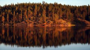 Erämaan lumo: 28.02.2016 18.17