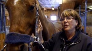 Eläimet lähellä sydäntä: 11.12.2015 14.50