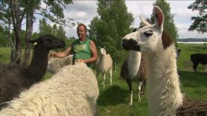 Norjaa ristiin rastiin: 09.01.2016 19.58