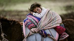 Prisma: Ihmisen universumi: 24.02.2016 19.00