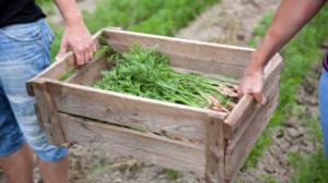 Från jord till bord: 21.04.2016 19.00