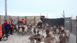 Norjaa ristiin rastiin: 04.01.2016 21.56