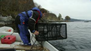 Yksineläjä Severin: 08.02.2016 19.00