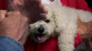 Elämäni eläimet: Eläinsairaalassa: 21.04.2016 15.30