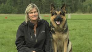 Lain pitkä nenä: 31.01.2016 19.50