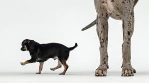 Prisma: Oikukas evoluutio: 13.04.2016 19.00