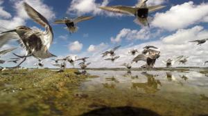 Selkämeri: Villin saariston syke: 19.12.2015 18.40